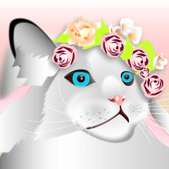 Cat in flower