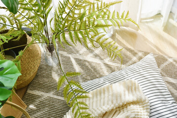 Pillow and soft blanket in relaxing space, Comfort living room with warm and cozy natural light, Artificial plant, Indoor tropical houseplant for home interior and air purification.