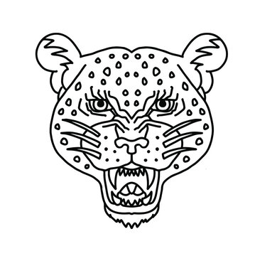 Line cheetah face