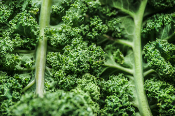 Close up of raw green kale leaves. Healthy seasonal winter vegetable with vitamin c. Structure of...