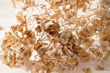 Hydrangea, hortesia dried flowers on a wooden background, top view. Pastel, natural colors. Vintage style.
