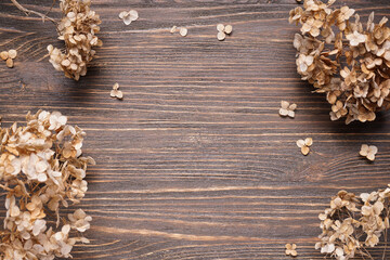 Hydrangea, hortesia dried flowers on a wooden background, space for text, top view. Vintage style.