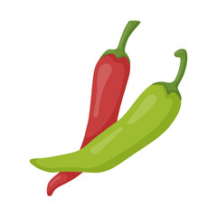 Vector illustration of a pair of hot chili peppers, mexican food isolated on white.