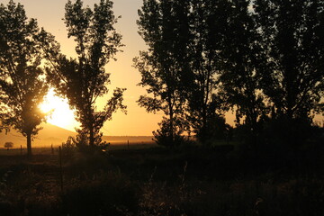 Fotos al aire libre de lugares y flora del pueblo de Patones de Arriba situado en el nordeste de Madrid.
