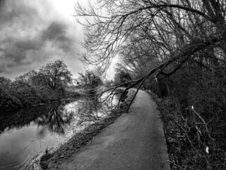 Gran Union Canal 