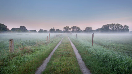 mist over the field