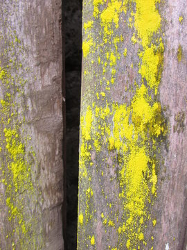 Wood, colors, and texture.. abandoned house in Pejerrey, Chile