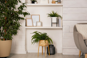Wall shelves with beautiful decor elements and houseplants in stylish living room interior