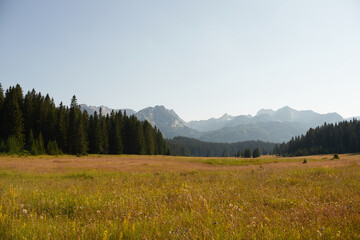 mountains durmitor with forest rocky landscape