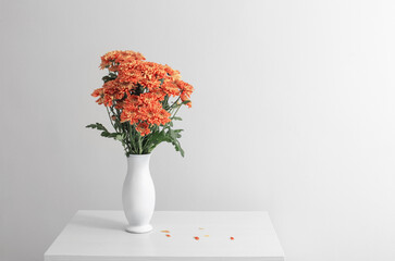 orange   chrysanthemums in  white  vase on white background