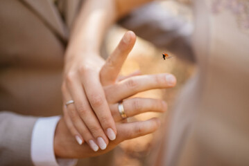 Obraz na płótnie Canvas Ladybug on hand stock photo.