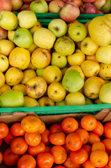 Naklejka na ściany i meble many organically grown mandarins in a greengrocer's shop