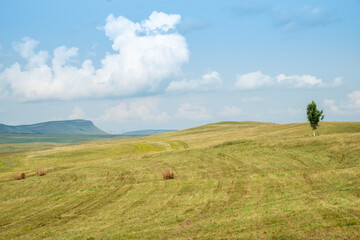 Big Salbyk Kurgan, Valley of the Kings, Republic of Khakassia, Russia