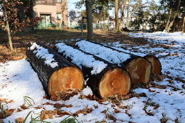 雪が積もった丸太