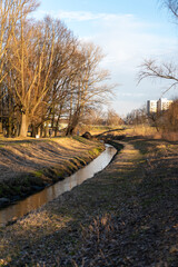 river in town with fallen tree