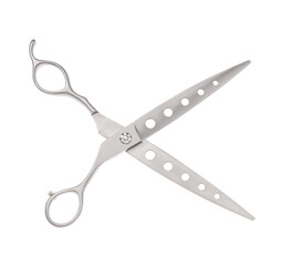 Scissors for cutting people and pets. Grooming scissors. Opened scissors on a white isolated background. Side view.