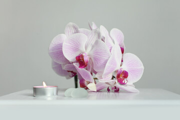 Pink phalaenopsis orchid flower and burning candle on gray interior. Selective soft focus. Minimalist still life. Light and shadow nature horizontal background.