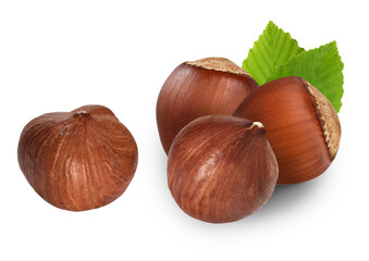 forest nuts hazelnuts isolated on white background. the entire image is sharpness.