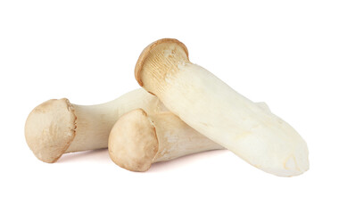 Oringi mushroom or royal oyster mushroom, halved on a white background.