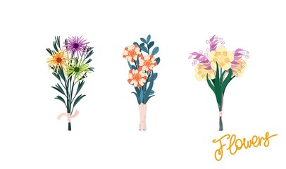 Set of three bouquets of flowers. Different compositions of branches, flowers, grass and leaves. Ready-made decorative templates. Vector art