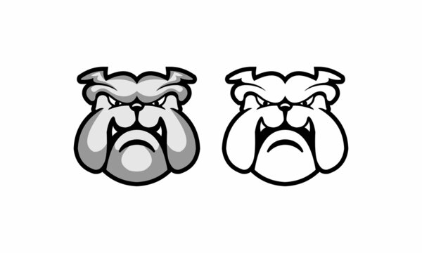 Bulldog face