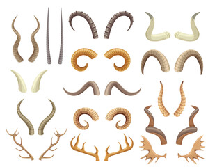 Animal horns and antlers, antelope, ram, moose, reindeer horn. Wild animals hunting trophies, deer antler, buffalo and goat horns vector set. Wildlife mammals elements isolated on white