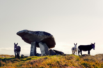 Kilclooney prehistoric megalithic portal tomb burial site aka Kilclooney dolmen. Ardara, Donegal,...