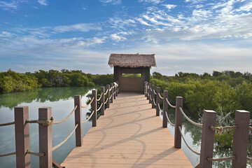 Purple Island full of Mangrove in Thakira. Known as Dakhira