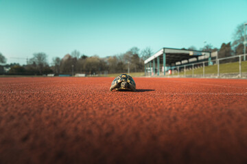 Tortoise on Start Line of Athletics Race Track © James