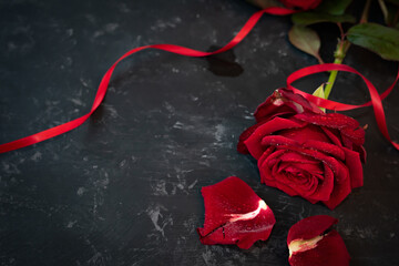 Single dark red rose for mothers day with red ribbon on black slate. Atmospheric background for...