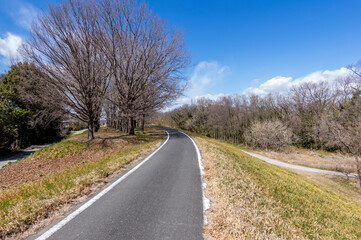 Fototapeta premium 荒川土手のサイクリングロード