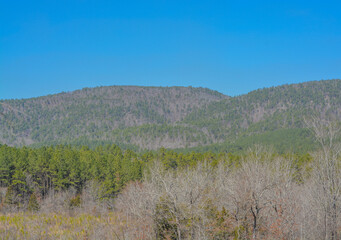 The Ouachita National Forest at Broken Bow, McCurtain County, Oklahoma 
