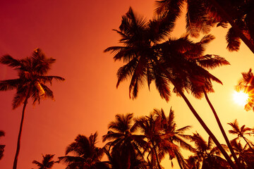 Fototapeta na wymiar Coconut palm trees silhouettes on tropical beach at vivid sunset with shining sun