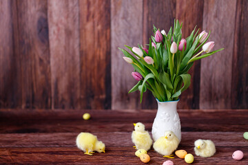 Easter chicken, eggs and decoration on wooden background