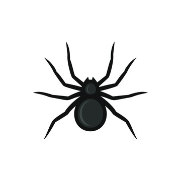 Black spider icon vector image