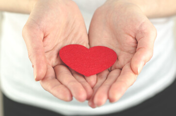 Fototapeta premium Red heart in female palms on a white background.The concept of love, health or world peace