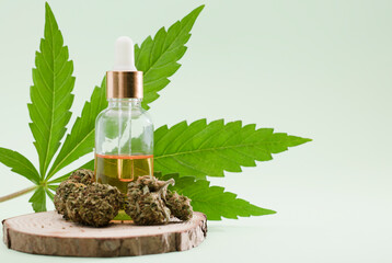 marijuana oil in drops dispenser bottle with buds and leaves, green background