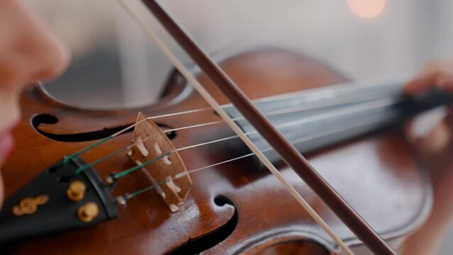 A Young Girl And Man Plays The Violin In A Beautiful Retro Room With Flowers And A Piano.