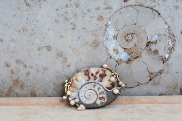 Ammonit Muschel Fossil Brosche