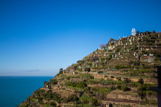 View of agricultural terrace in Manarola, Cinque Terre, Liguria, Italy.