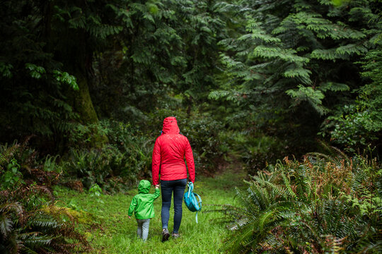 A woman in raincoat walks into forest with young child