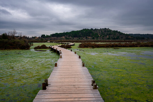 Walkway on a pond full of algae on a natural reserve in France