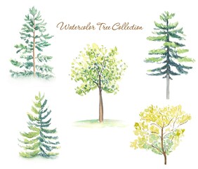 Collection of watercolor trees on white background