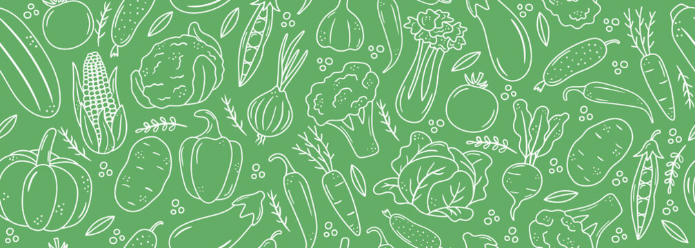 Seamless banner with outline vegetable icons. Background with hand drawn drawings of carrot, cabbage, broccoli, corn, pumpkin. Sketch food pattern. Doodle silhouettes of harvest elements
