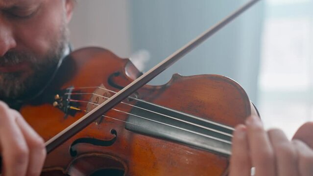 A Young Girl And Man Plays The Violin In A Beautiful Retro Room With Flowers And A Piano.
