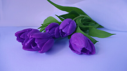 veri peri bouquet of tulips with green leaves