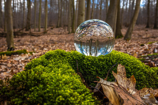 Glaskugel liegt im Wald auf Moos mit Sonne