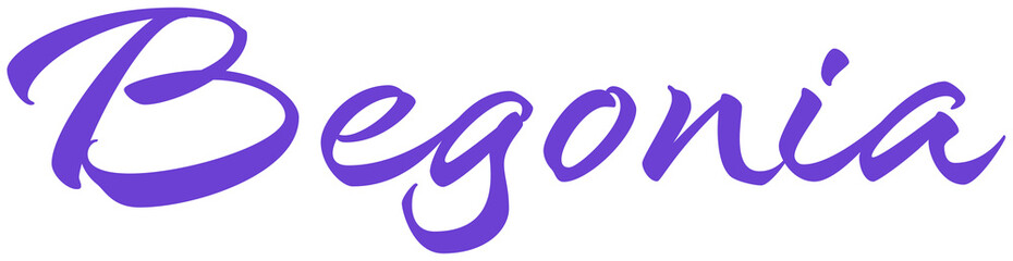Begonia