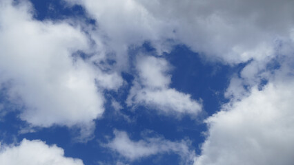 Cielo