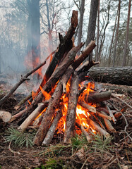 burning wood in toiuristic campfire